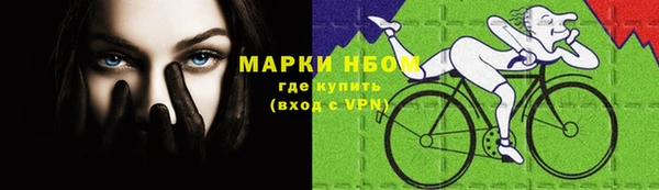 твердый Алзамай