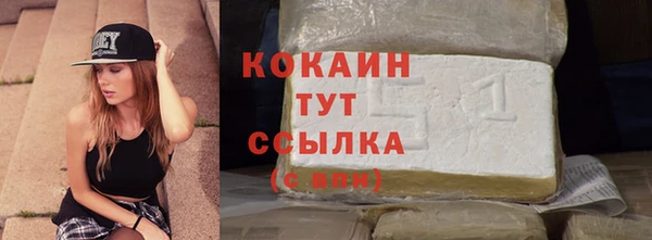 СК Алексин