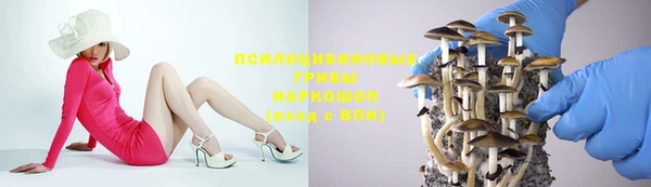 метамфетамин Алексеевка
