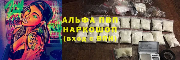 СК Алексин