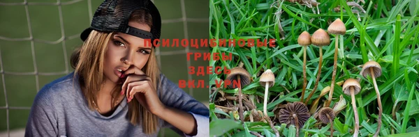 СК Алексин