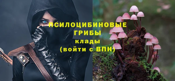 твердый Алзамай