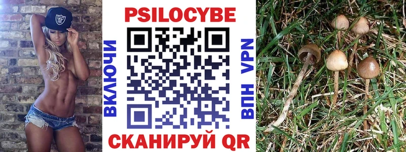 даркнет какой сайт  Набережные Челны  Псилоцибиновые грибы Cubensis  закладки  hydra зеркало 